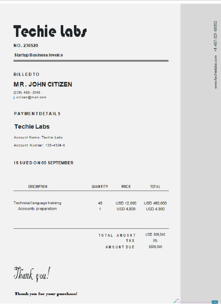 Download USA Techie Labs invoice Photoshop template